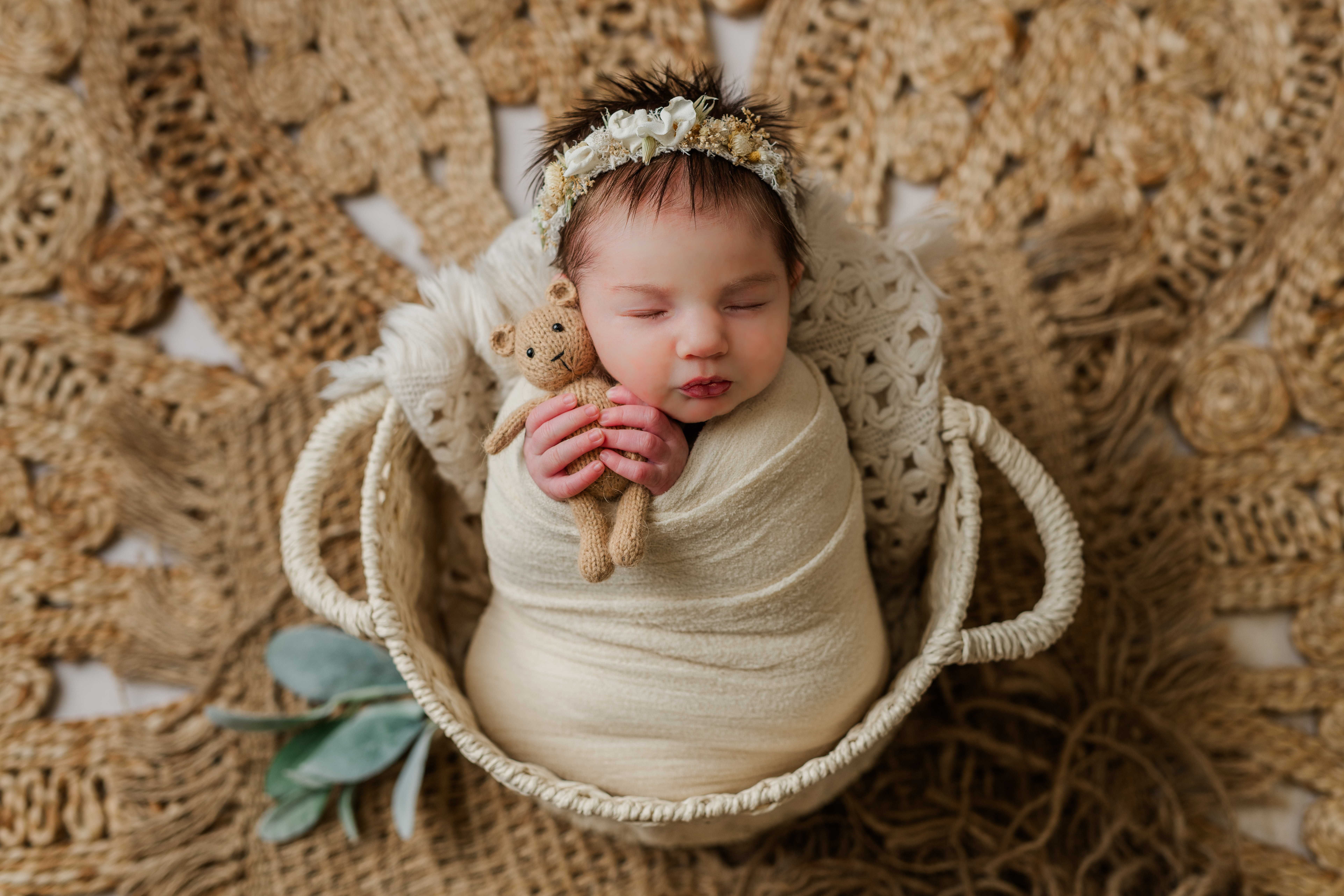 Newborn Baby Photoshoot in Photo Studio located in Hollidaysburg PA